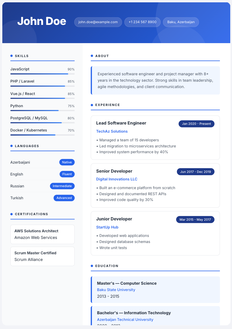 Professional cv forması